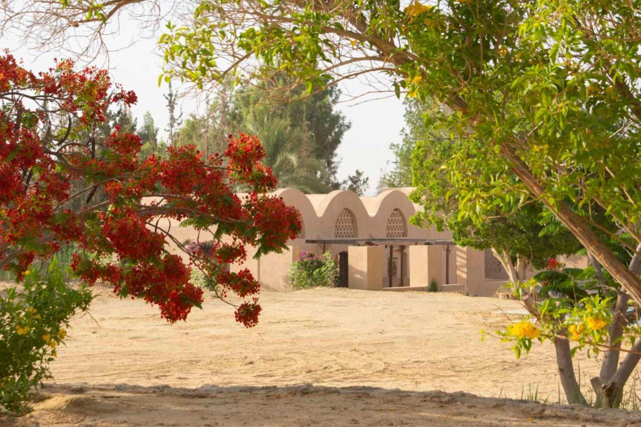 Tzila Bahariya Villa Bahariya Oasis ภายนอก รูปภาพ