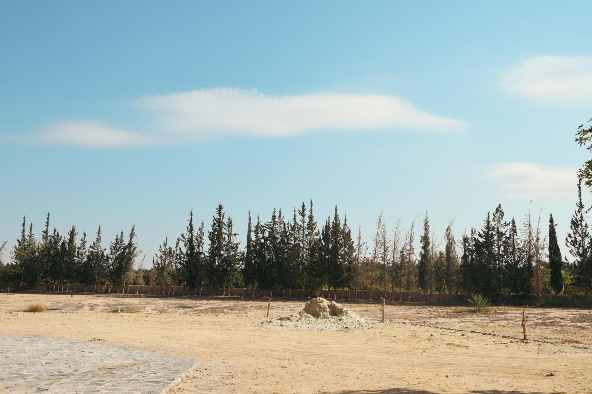 Tzila Bahariya Villa Bahariya Oasis ภายนอก รูปภาพ