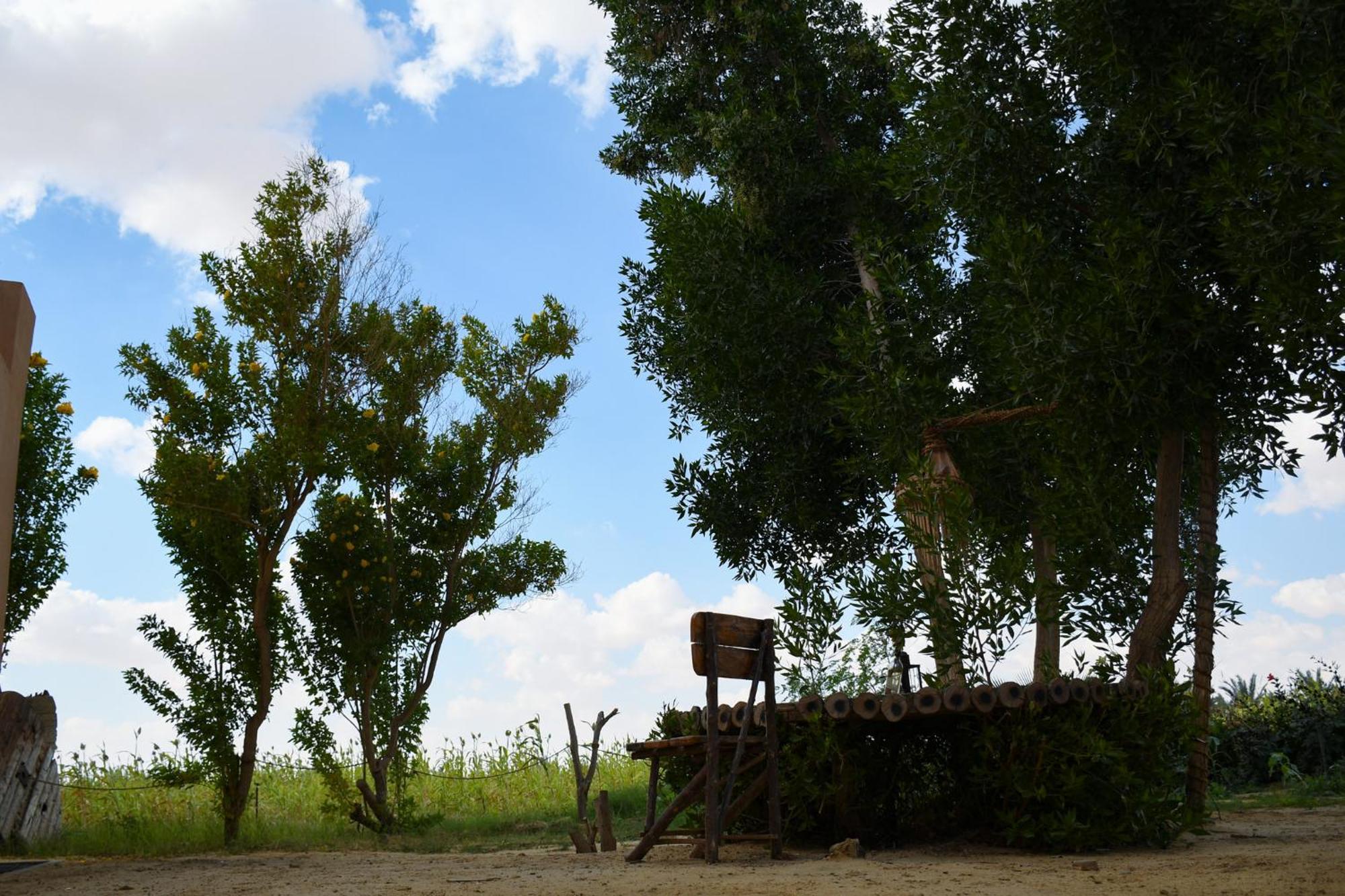 Tzila Bahariya Villa Bahariya Oasis ภายนอก รูปภาพ